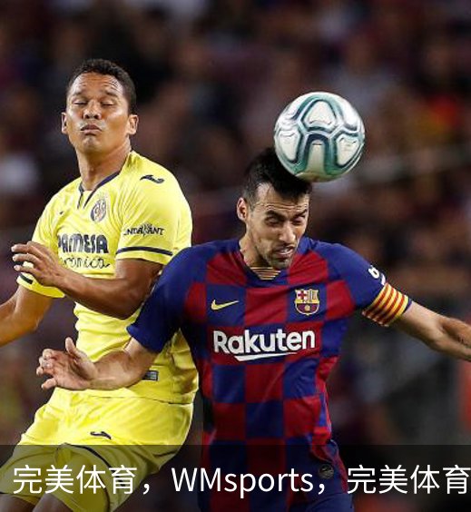 完美体育，WMsports，完美体育官方，完美体育平台，完美体育下载简介